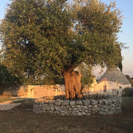 Trulli Le 2 Nicchie Vakantiehuis Locorotondo